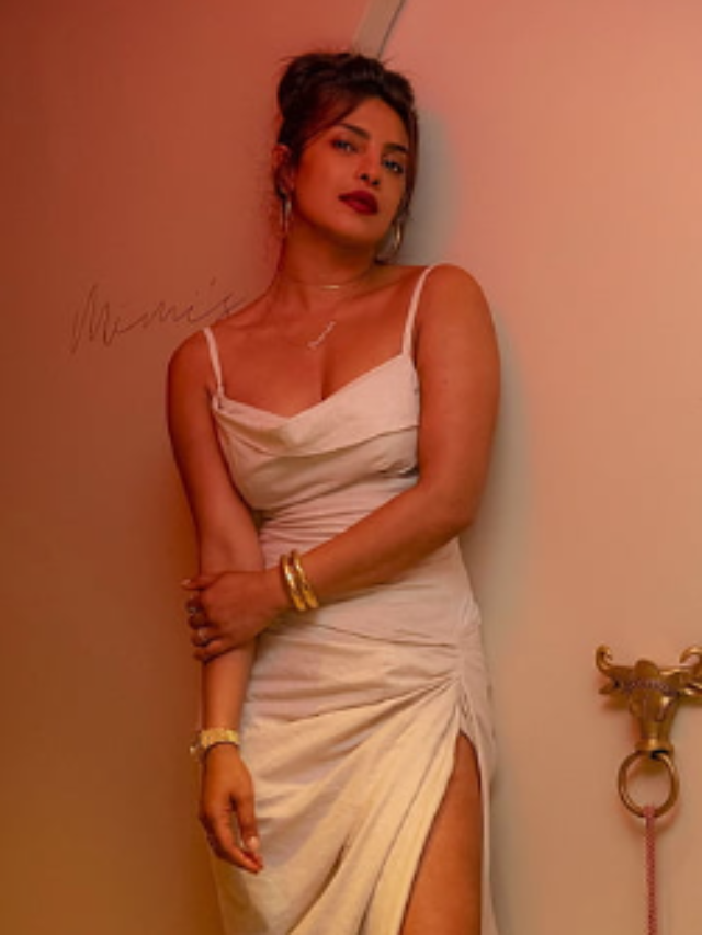 Priyanka Chopra Jonas , Life Jurney